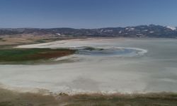 İklim değişikliğine uyum için örnek proje