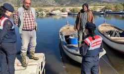 İki şehirde hayvanların yaşam alanları inceleme altında