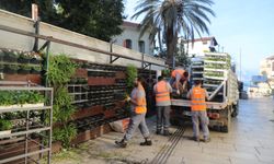 Antalya’da 4 milyon çiçek toprakla buluşuyor