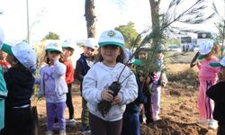 Kepezli Minikler, yangın sonrası orman alanına umut dikti