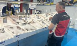 Antalya'da çift yönlü sağlık harekatı! Aksu'da çip ve aşı, Konyaaltı'nda balık denetimi