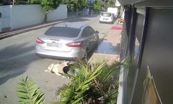 Köpeği silahla vuran emekli polis için 4 yıla kadar hapis talebi