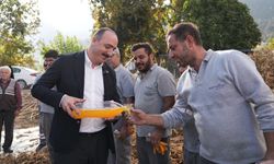 Konyaaltı Belediye Başkanı Cem Kotan işçilerle fasulye hasadı yaptı