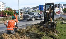 Kuşadası Belediyesi'nden çevreye duyarlı peyzaj uygulaması