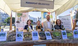 Manavgat’ta 2. zeytin ve zeytinyağı festivali coşkuyla başladı