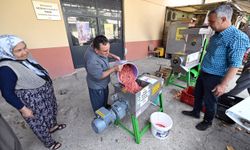 Mersin’de nar üreticilerine dev destek! Destekle üretim arttı