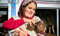 Mersin'de yem ve küçükbaş desteği üreticiyi güçlendiriyor