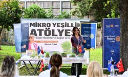 Mikro yeşilliklerle minyatür bahçeler oluşturdular
