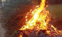 Milas’taki yangın kısa sürede söndürüldü