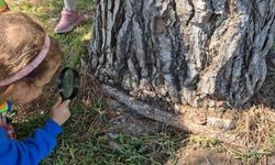 Minik doğa kaşifleri Kepez’de işbaşında