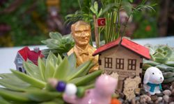 Öğretmenler Günü için en çok kır çiçeği tercih ediliyor