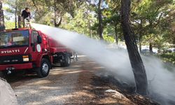 Ormanlık alanda çıkan yangını vatandaşlar söndürdü