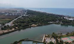 Antalya'da endemik türlere ev sahipliği yapan ormanlık alanlar tel çitle çevrilecek