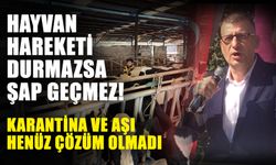 Hayvan hareketi durmazsa ŞAP geçmez! Karantina ve aşı henüz çözüm olmadı
