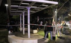 Antalya sahilindeki yangının faturası ağır oldu