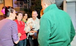 Antalya'daki yangında 2 kedi telef oldu, sahipleri gözyaşlarına boğuldu