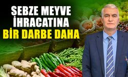 Sebze meyve ihracatına bir darbe daha