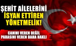 Şehit ailelerini isyan ettiren yönetmelik! Canını veren değil parasını veren daha haklı