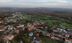 İstanbul Şile’de şap alarmı! 3 köy karantinaya alındı