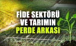 Fide sektörü ve tarımın perde arkası