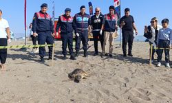 Tedavisi tamamlanan caretta caretta denizin maviliğine kulaç açtı