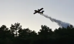 Orman Genel Müdürlüğü'nün düşen uçağının enkazına ulaşıldı... Pilottan acı haber geldi