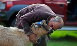 Yaşlı adam mutluluğunu keçisine sarılarak yaşadı