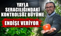 Yayla seracılığındaki kontrolsüz büyüme endişe veriyor