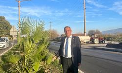 Yeşil Sultanhisar için ağaçlandırma çalışmaları sürüyor