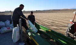 Adana’da beklenen ekimler başladı