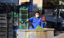 Vektörel mücadele çalışmaları aralıksız devam ediyor