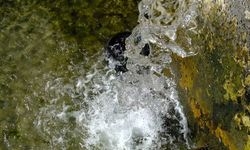 Antalya Büyükşehir Belediyesi’nden büyük destek