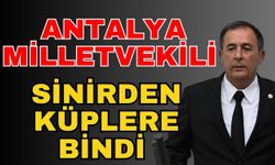 Antalya milletvekili sinirden küplere bindi