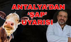Antalya’dan ‘Şap’ uyarısı