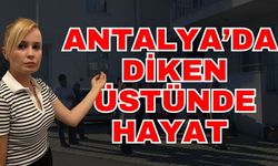 Antalya’da diken üstünde hayat