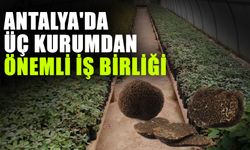 Antalya'da üç kurumdan önemli iş birliği