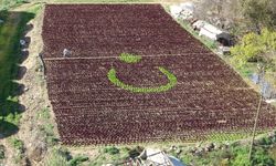 Antalya’da Türk Bayrağı tarlaya yansıdı