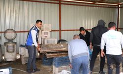 Antalya’da zabıta ekipleri izinsiz gıda üretimini durdurdu