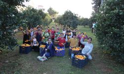 Antalya’daki belediye portakalları kardeş payı yaptı