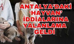 Antalya’daki ‘Hayvan’ iddialarına yalanlama geldi