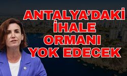 Antalya’daki ihale ormanı yok edecek