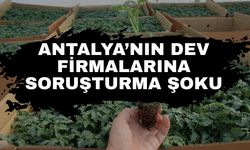 Antalya’nın dev firmalarına soruşturma şoku