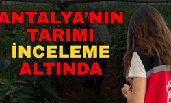 Antalya’nın tarımı inceleme altında