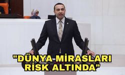 Milletvekili Kaya'dan Tarım ve Orman Bakanlığı'na çağrı! "Dünya mirasları risk altında"