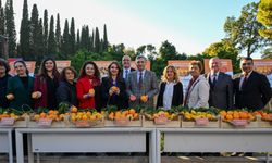 BATEM Antalya Portakallarını Tanıttı