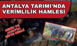 Antalya tarımında verimlilik hamlesi... Serik ve Aksu'da çifte mesai!