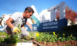 Antalya kışında rengarenk olacak