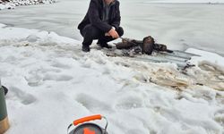 Köyceğiz Sandras Dağı’na yılın ilk karı yağdı