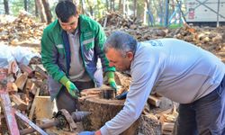 Kumluca Belediyesi’nden ihtiyaç sahibi ailelere yakacak odun desteği