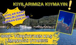 WWF-Türkiye’den Kaş Limanağzı uyarısı! Kıyılar rant projelerine kurban ediliyor